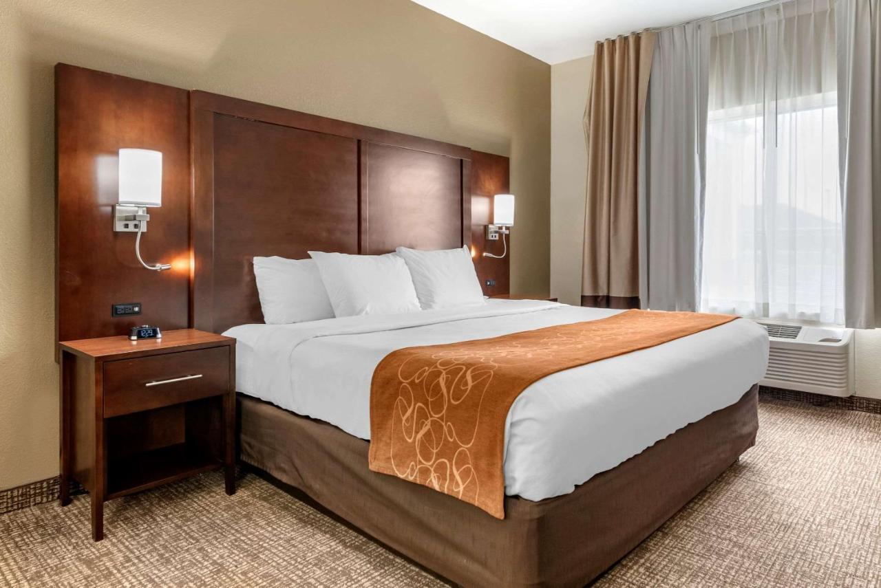 Comfort Suites Auburn Near I-69 Zewnętrze zdjęcie