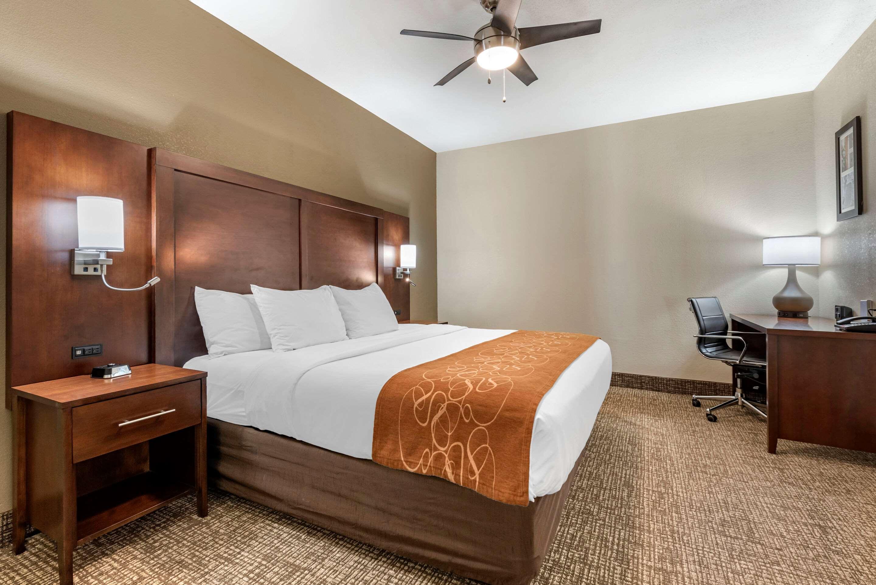 Comfort Suites Auburn Near I-69 Zewnętrze zdjęcie